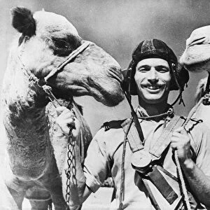 Allied Air Forces with camels. 30th April 1943