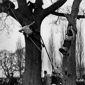 Alvechurch fans climb trees to get a view of their team in action against Enfield in Alvechurch fans climb trees to get a view of their team in action against Enfield in