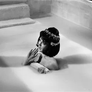 Amanda Barrie on the set of Carry on Cleo Print, 4th August 1964 Amanda Barrie on the set of Carry on Cleo Print, 4th August 1964