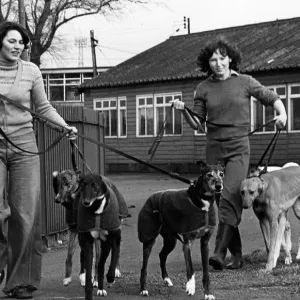 Greyhounds at Cleveland Park Stadium Print, 19th February 1981