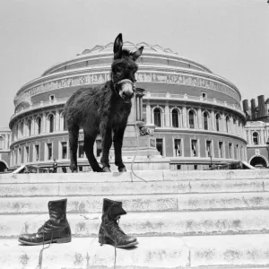 American pop group called Funkadelic have been banned from performing American pop group called Funkadelic have been banned from performing