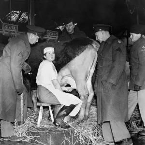 American soldiers, farmers in peacetime, take a week