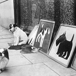 Animal Dog Dog passing by painting of dogs circa 1950