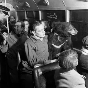Animals are not allowed inside the bus but this bus is different for the animal inside