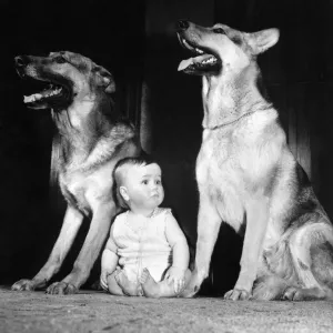 Animals-Children and dogs. March 1963 P006069 Animals-Children and dogs. March 1963 P006069