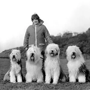 Animals. Dogs: "Duke"the Dulux dog has 3 understudies they are Tania