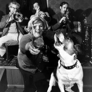 Animals Dogs Jack Russell February 1978 Judy the 8 year old Jack Russell owned by