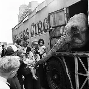 Animals, Elephant. Elephant plays with children at Vauxhall Bridge, London