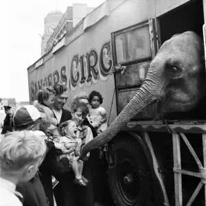 Elephant Playtime at Vauxhall Bridge Print, London 1953