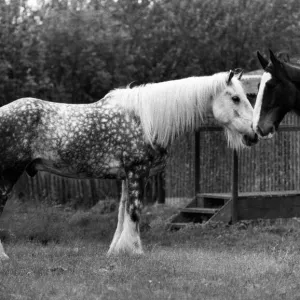 June Collection: 14 Jun 1972