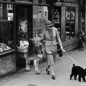 Shetland Pony Shopping in Sevenoaks, Kent - Print 1948