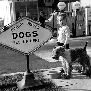 Animals Humour Dogs October 1959 Peter Monkhouse and his pup Snook at the shell