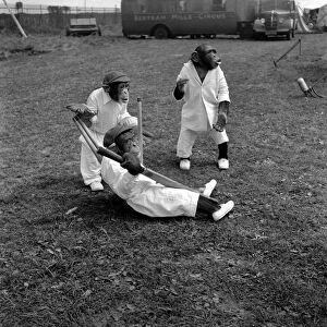 Animals Humour Monkeys playing Cricket. May 1953 D2836-001