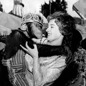 Animals Monkeys Chimps: 20 year old saleslady Wendy Goff, the Southend Carnival Queen