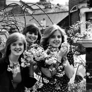 May Collection: 27 May 1979