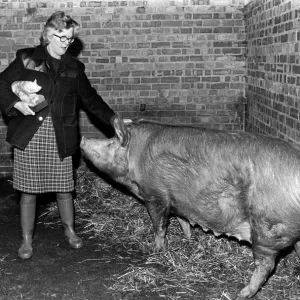 Anns proud that her house is a bit of a pigsty. Proud owner Ann Anns proud that her house is a bit of a pigsty. Proud owner Ann