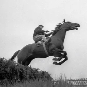 Arkle seen training for the 1966 Cheltenham Gold Cup - March 1966 Arkle seen training for the 1966 Cheltenham Gold Cup - March 1966