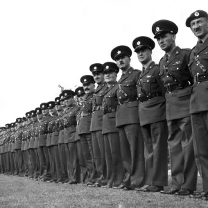 Army: Line up of fifty three Regimental Sergeant Majors. October 1964 P035472 Army: Line up of fifty three Regimental Sergeant Majors. October 1964 P035472