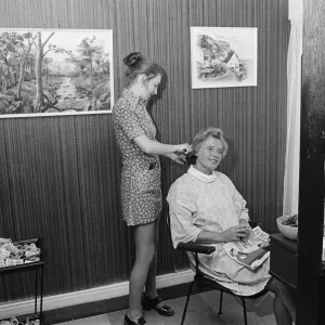 Print of Artwork on Display at Middlesbrough Hairdressing Salon, Circa 1973