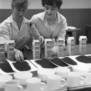 Assistants in the tea tasting department at the Ty-phoo Tea factory Bordesley Street Assistants in the tea tasting department at the Ty-phoo Tea factory Bordesley Street
