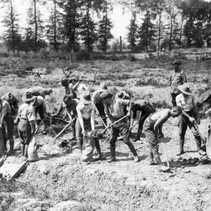 Australian pioneers of the 1st and 2nd Australian division at work behind the lines near