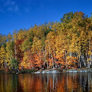 Autumn Scene in Northern Ontario, Canada