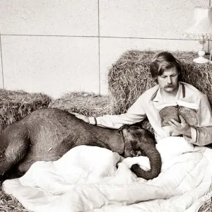 A baby elephant is read a bed time story circa 1971 A baby elephant is read a bed time story circa 1971
