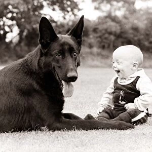 a baby laughs at his canine companion