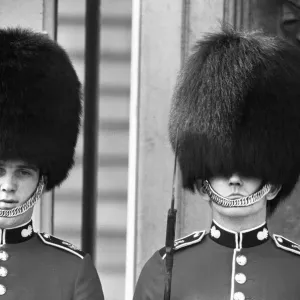 Bad Hair Day Print - Grenadier Guard, Buckingham Palace 1959 Bad Hair Day Print - Grenadier Guard, Buckingham Palace 1959