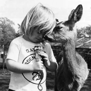 Bambi the deer and little girl Samantha. July 1977 P011901 Bambi the deer and little girl Samantha. July 1977 P011901