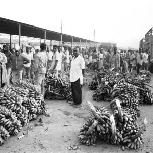 Bananas for sale at a market in Kampala, Uganda. 27th February 1977