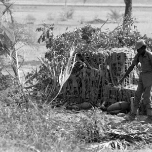 Bangladesh War of Independence 1971 Print: Indian Army Digs In
