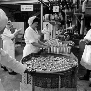 Batchelors food factory, Wadsley Bridge, Sheffield. 4th September 1967