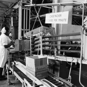 Batchelors food factory, Wadsley Bridge, Sheffield. 4th September 1967