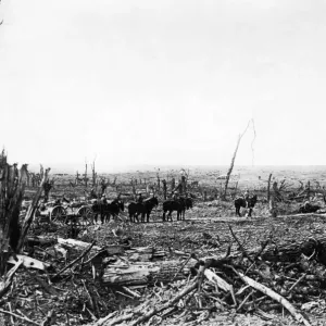 The Battle of the Somme (French: Bataille de la Somme, German: Schlacht an der Somme) The Battle of the Somme (French: Bataille de la Somme, German: Schlacht an der Somme)