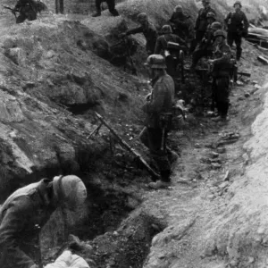 The Battle of Stalingrad (23 August 1942 e 2 February 1943 The Battle of Stalingrad (23 August 1942 e 2 February 1943