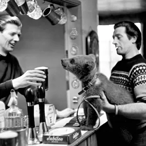 A bear at Southam Farm Zoo enjoys a quick pint. 16th April 1966