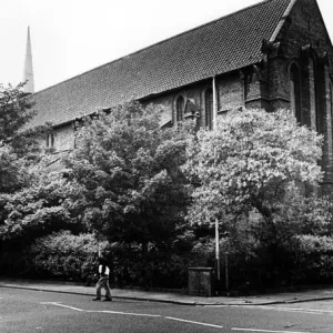 Ces beaux arbres entourant l'église Saint-Matthieu à Grangetown ont.