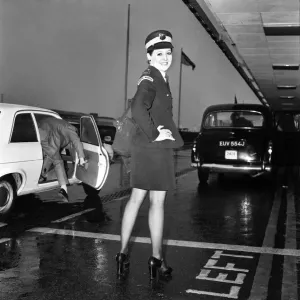 Beauty Queen Traffic Wardens Print Beauty Queen Traffic Wardens Print