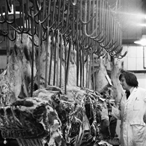Beef in Smithfield Market. 9th July 1974