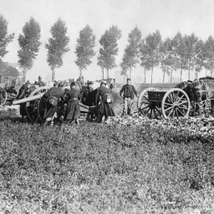Belgian artillery battery un-limbering guns near Dendermonde circa 5th September 1914 Belgian artillery battery un-limbering guns near Dendermonde circa 5th September 1914