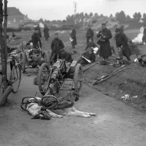 Belgian Gun Dog Teams Rest on the Road to Hofstade Print