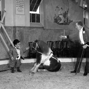 Bentalls Circus, slow exposure of miniature pony, trainer and dwarf
