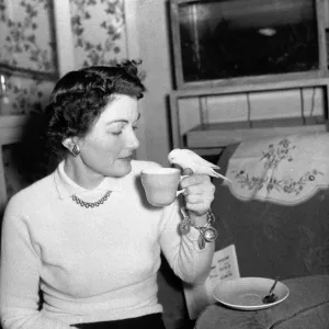Bernard Alfieri Jnr. Woman and Budgie drinking from her tea cup. 20th July 1934