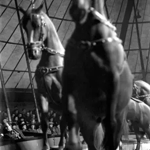 Bertram Mills Circus at Luton. April 1950 O23401-001 Bertram Mills Circus at Luton. April 1950 O23401-001