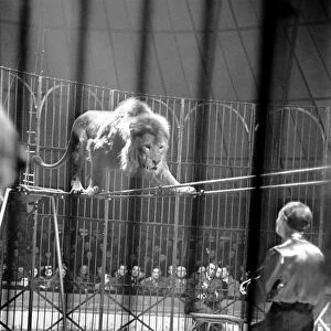 Bertram Mills Circus at Luton. April 1950 O23401-012