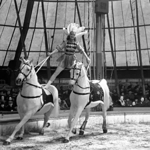 Bertram Mills Circus at Luton. April 1950 O23401 Bertram Mills Circus at Luton. April 1950 O23401