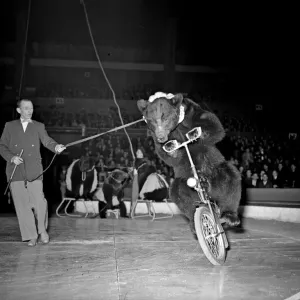 Alle Bertram Mills Circus, Olympia, migliaia di bambini urlarono la loro delizia come Kane. Alle Bertram Mills Circus, Olympia, migliaia di bambini urlarono la loro delizia come Kane.