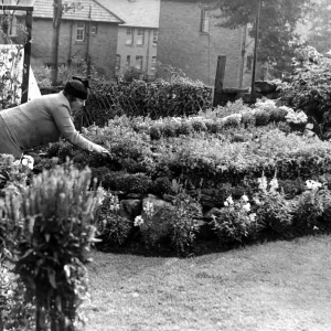 Condercum Estate, Newcastle: The Best-Kept Gardens Print