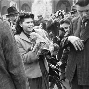 Bethnal Green Street Pet Market, East London. 23rd May 1946 Bethnal Green Street Pet Market, East London. 23rd May 1946